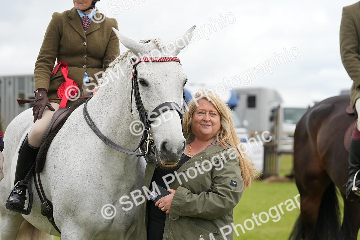 SBM_12853 - Class 97-98 - LIHS BSHA Rising Star Working Show Horse Hunter