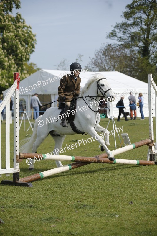 20260426-1272 - Class 2 - Mini Jumping