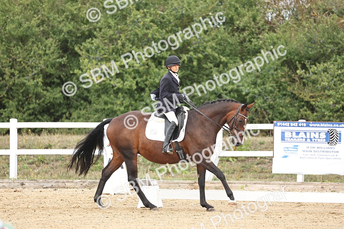 SBM_002679 - Class 7 - Novice 2 Warm Up