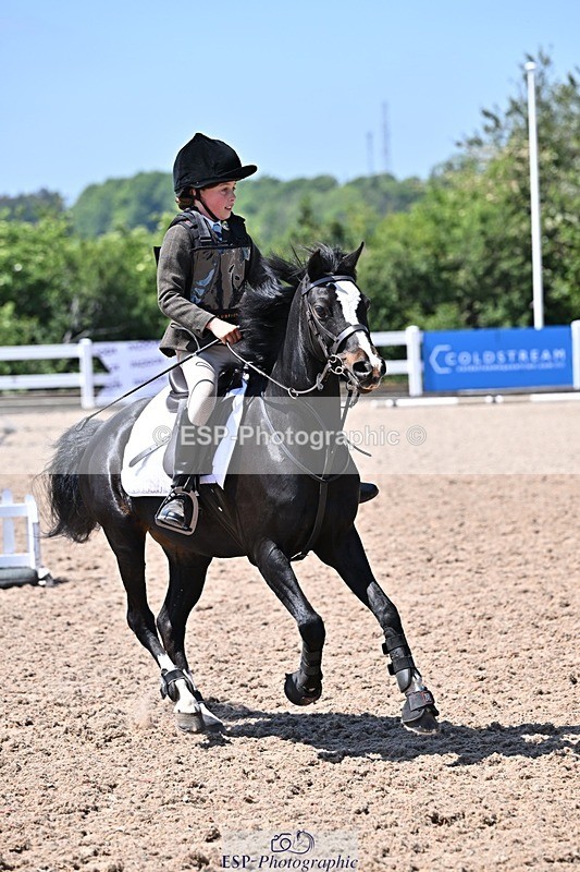 250517-130820-01272 - 50cm