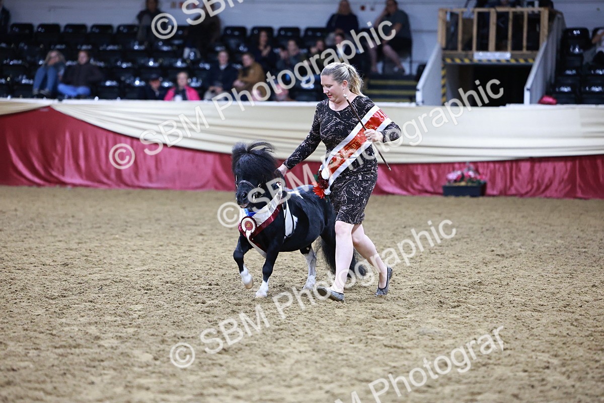 SBM_20879 - Class L - Coloured Champ