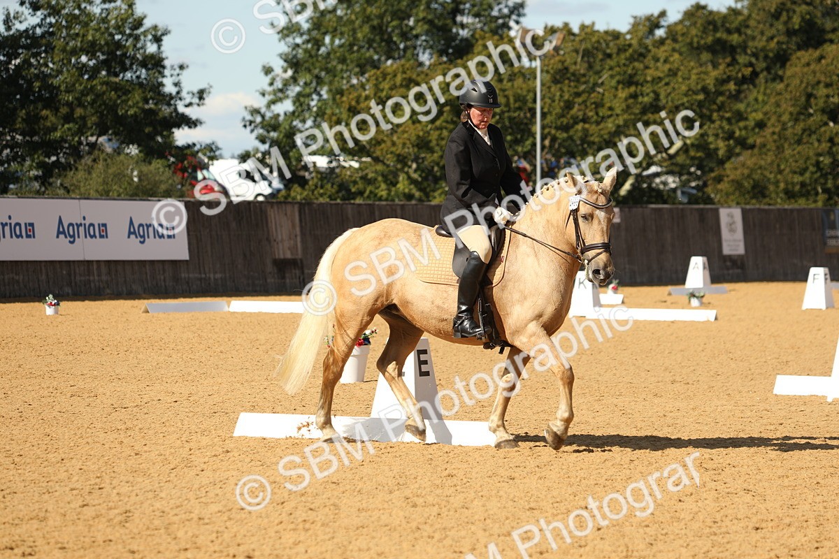 SBM_24581 - D17 - Grand Tour Championship - Novice 27