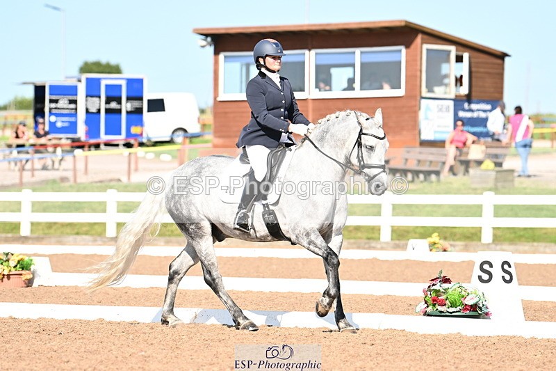 240816A-164249-06250 - 226-Sonya.Fitch-Peyton-THE.GREY.SWALLOW