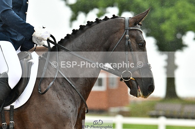 230630A-143557-02583 - Cls 8 Elementary 57