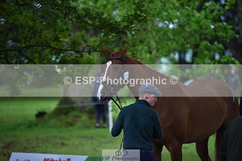 240522-164722-01156 - 221-LAGANS_RICE_STAR-Oliver_Thompson