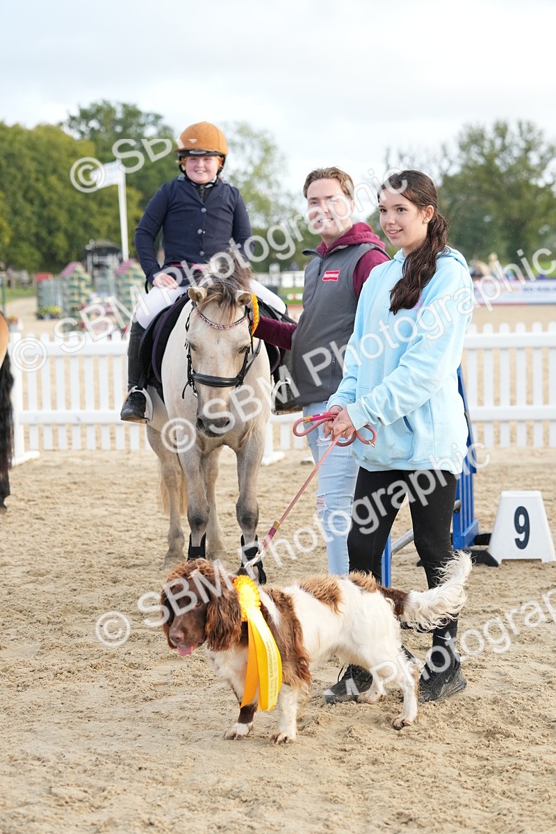 SBM_29237 - J43 - Horse & Hound Open 50cm