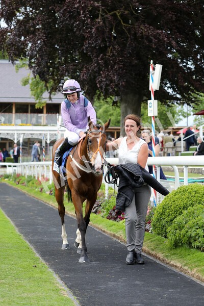 yr11062022r8-37 - Race 8 5.25pm Clean up with PPS Stakes
