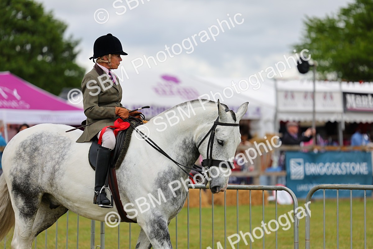 SBM_02580 - Class 9-11 Side Saddle including LIHS Rising Star Ladies Show Horse