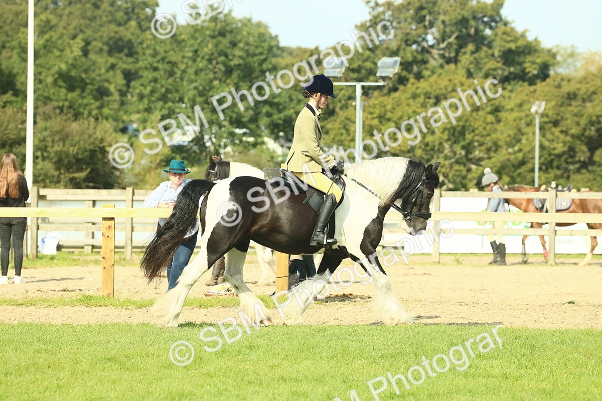 SBM_67589 - S56 - Coloured Pony Ridden
