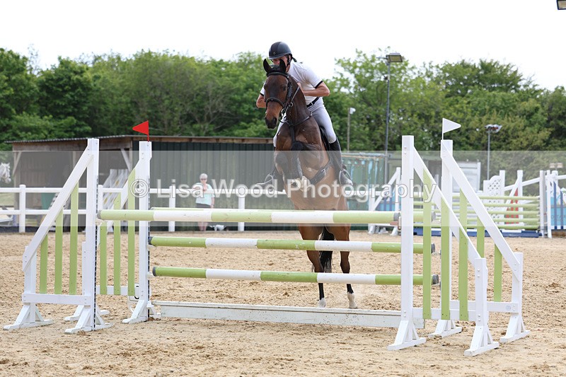 3E7A7441 - Class 8: Senior Foxhunter/1.20 open