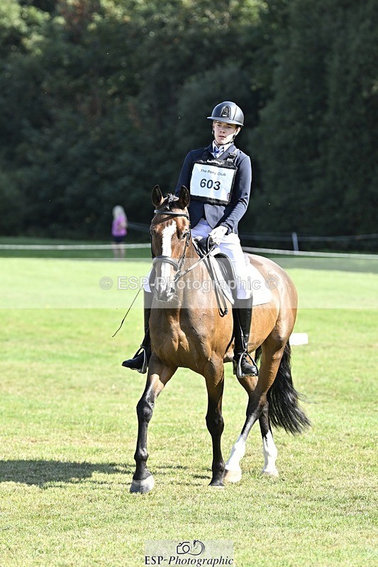 250822A-102916-20264 - DR 10.00 to 11.00