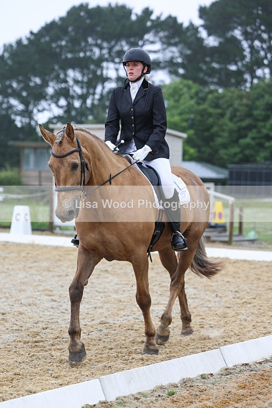 3E7A8596 - Class 2: Intro 3 2024 section B