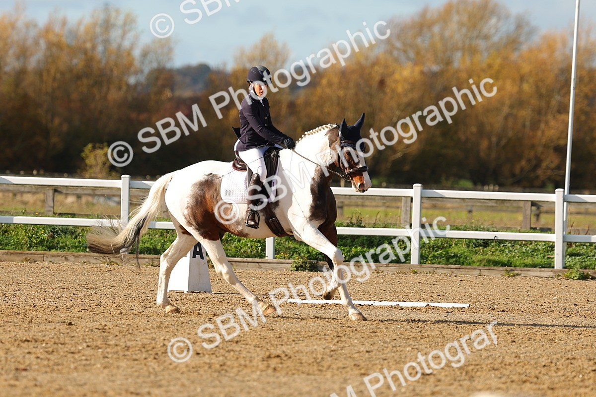 SBM_001143 - Novice 5