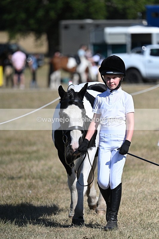 WJ7_1791 - Class 43 Best Six Legs (In hand)