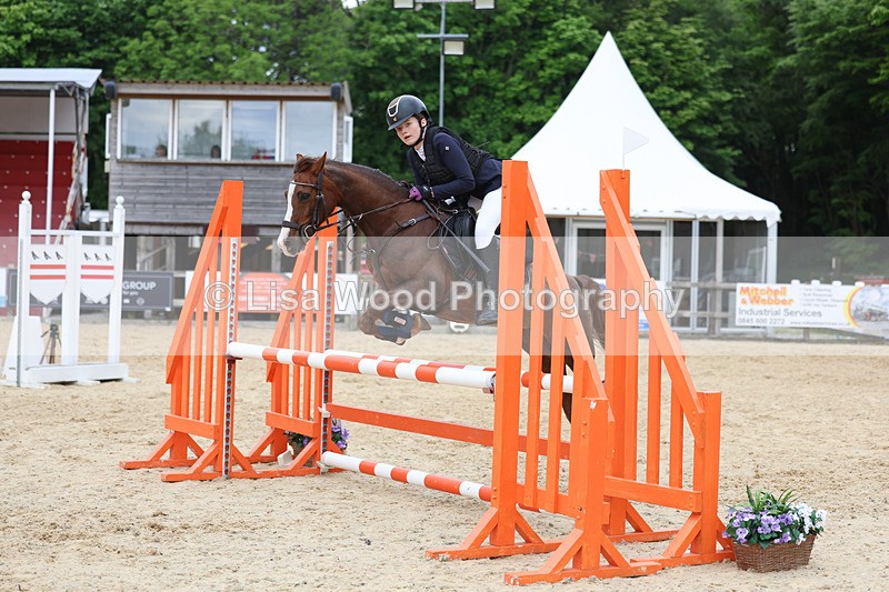 3E7A0103 - Class 13: Pony British Novice/80cm open