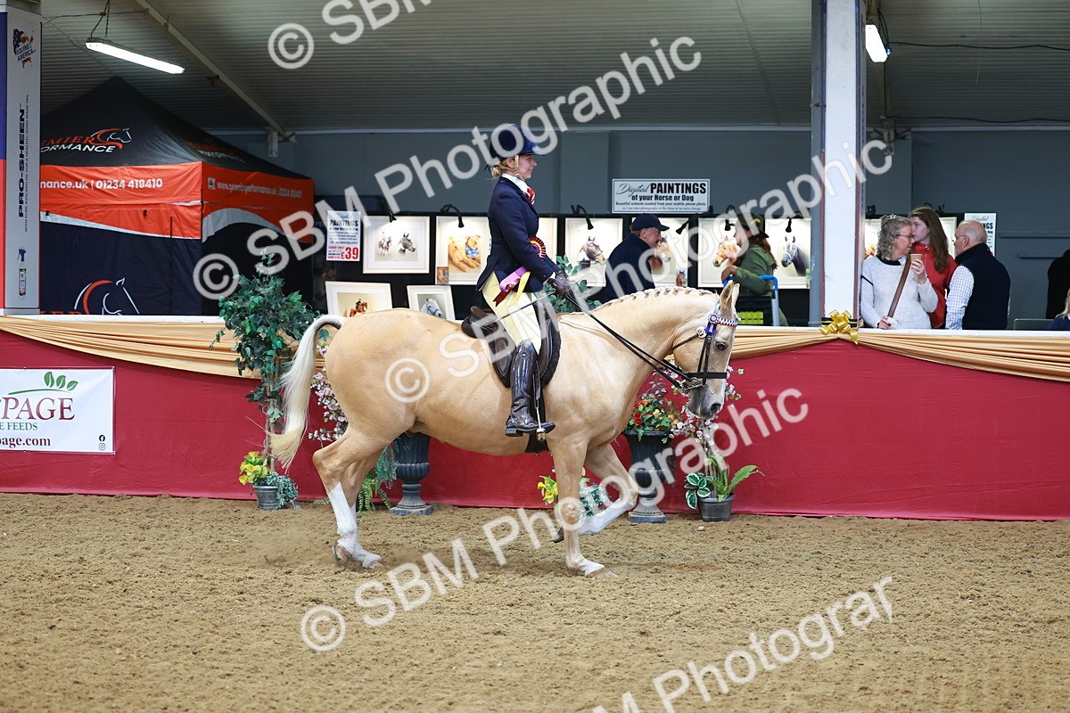SBM_09892 - Class 102 - HOYS Veteran Qualifier - Ridden Veteran