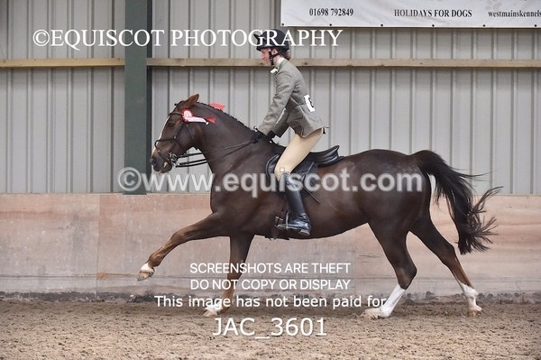 JAC_3601 - CLASS 9 BHS Scotland Riding Club Working Hunter Qualifier