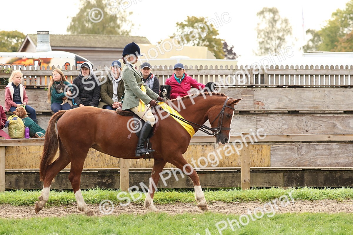 SBM_59744 - Start Supreme Championship