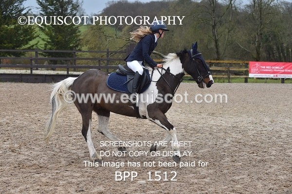 BPP_1512 - CLASS 7 Pony Discovery / 90cm Open