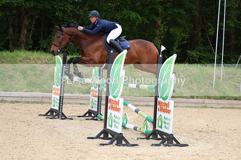 3E7A9698 - Class 9: Senior Foxhunter/1.20 open