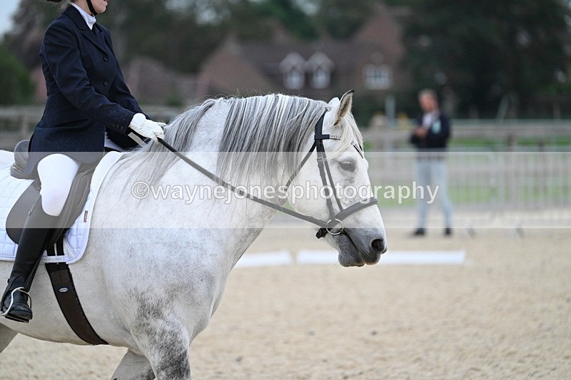 WJ7_2313 - Class 2 & Champs