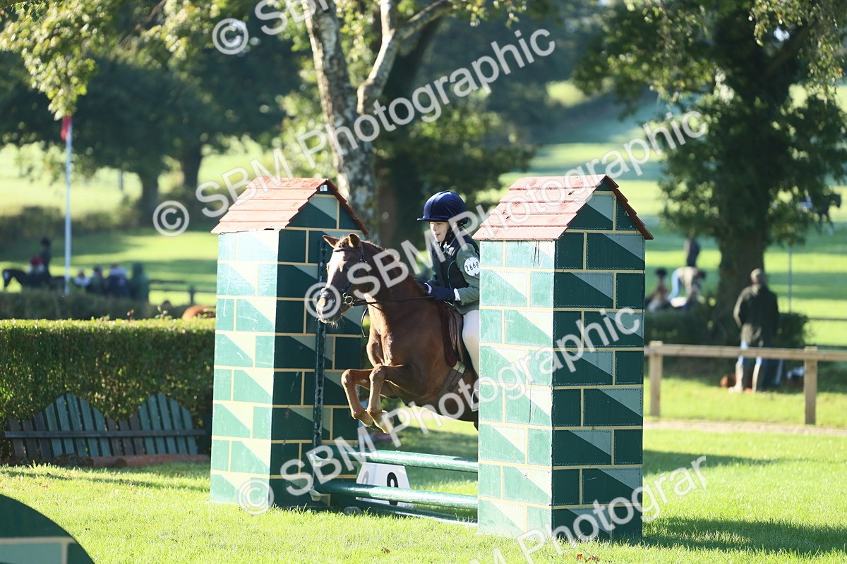 SBM_33409 - S28 - Nursery Stakes Working Hunter Pony