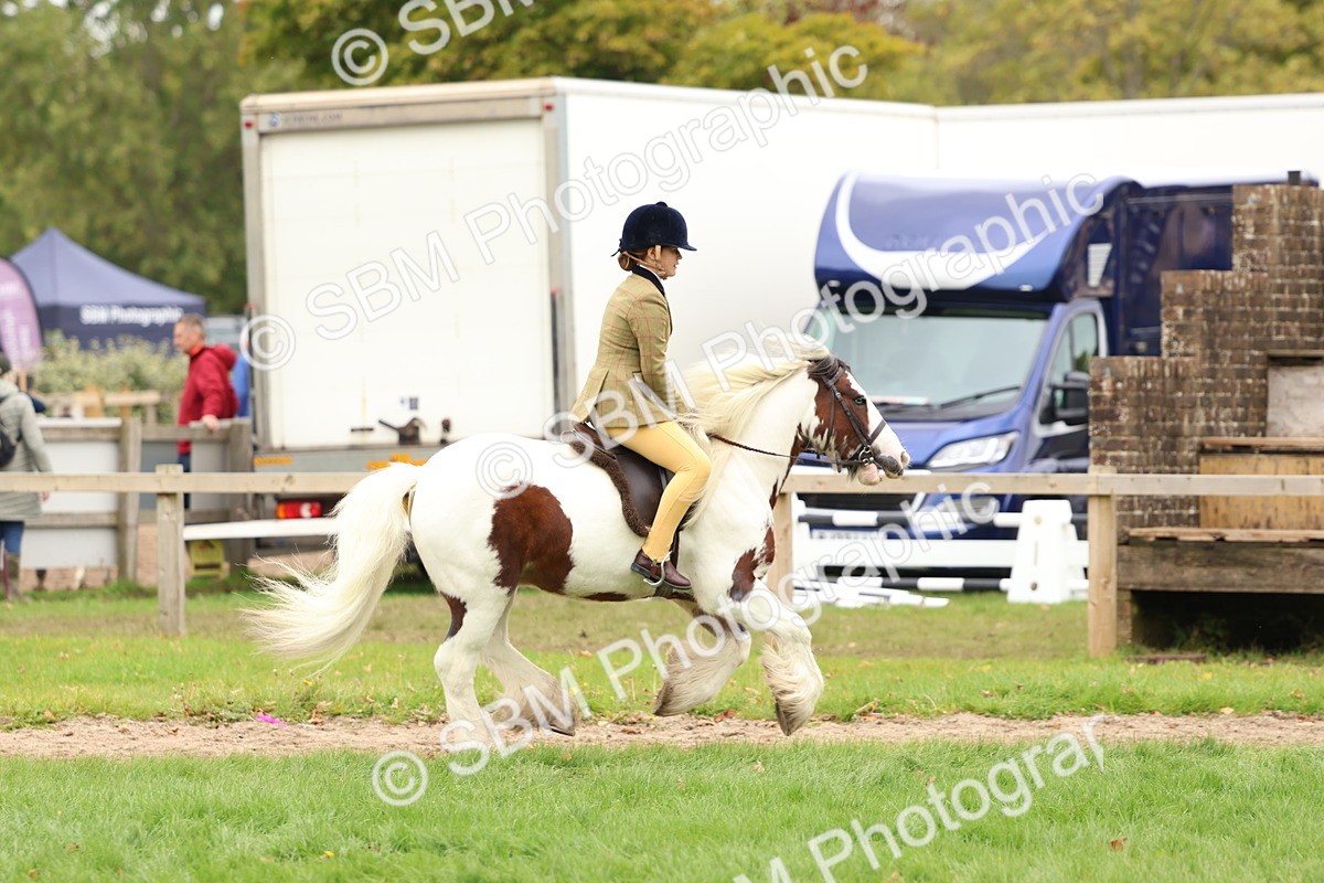 SBM_64593 - S58 - Coloured Pony Ridden