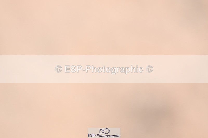 240621A-131919-03709 - Cls 8 BD Elementary 53