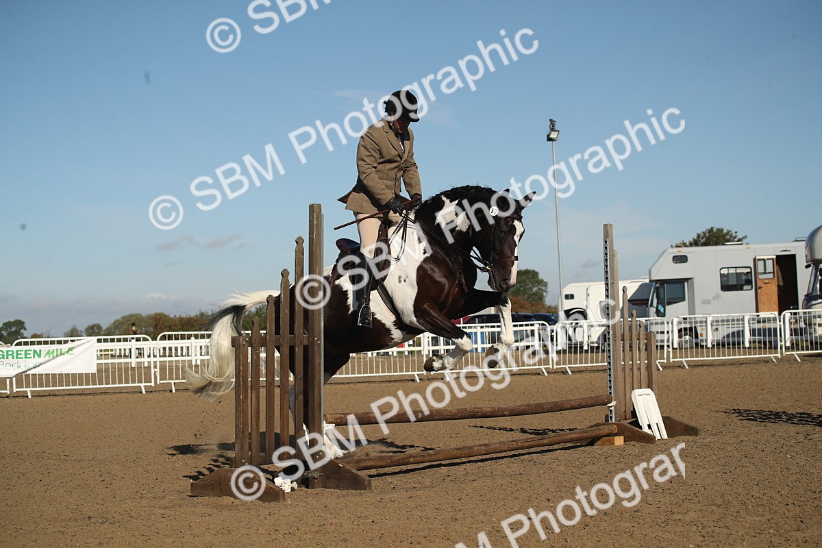 SBM_11339 - Class 501 -Riding Club Pony