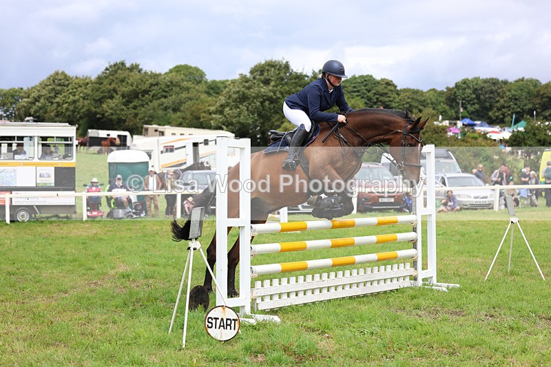 3E7A7388 - Class 5: Senior British Novice/90cm open