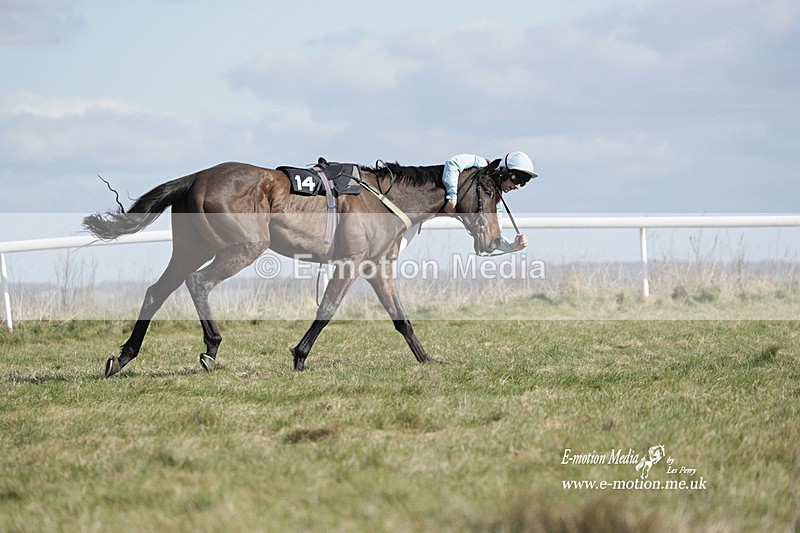 PtP 260223 494 - South & West Wilts Point-to-Point Larkhill 26/02/23