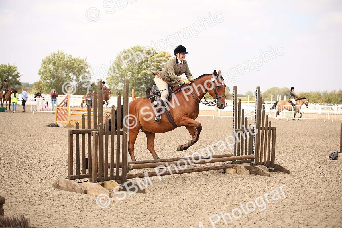 SBM_12893 - Class 406a - Working Veteran 50cm (15-19)