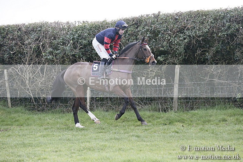 PtP 040218 460 - Point-to-Point Milborne St Andrew 04/02/18