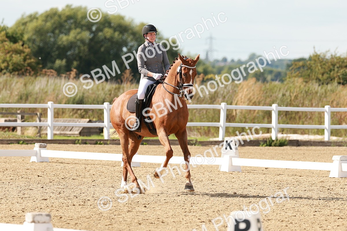 SBM_002535 - Class 11 - Medium 6