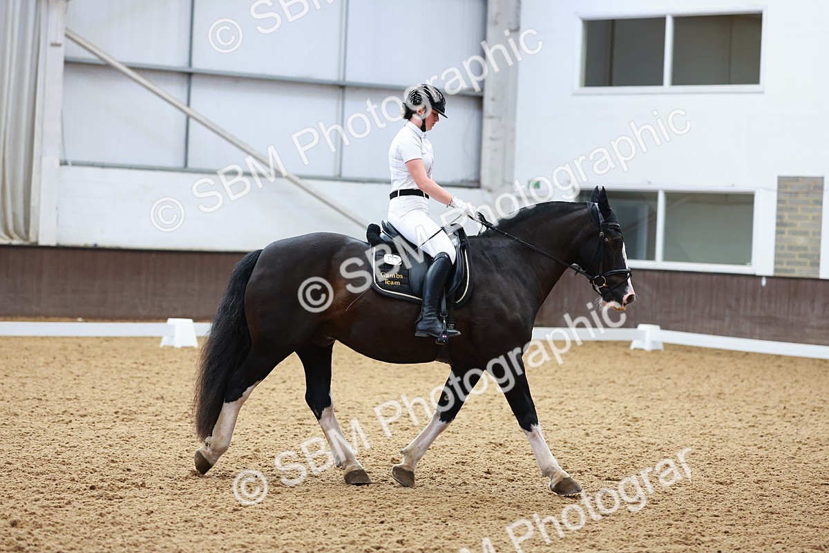 SBM_010179
