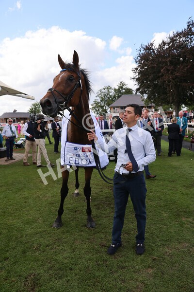 yr20082022r4-248 - Race 4 3.35pm Sky Bet Ebor