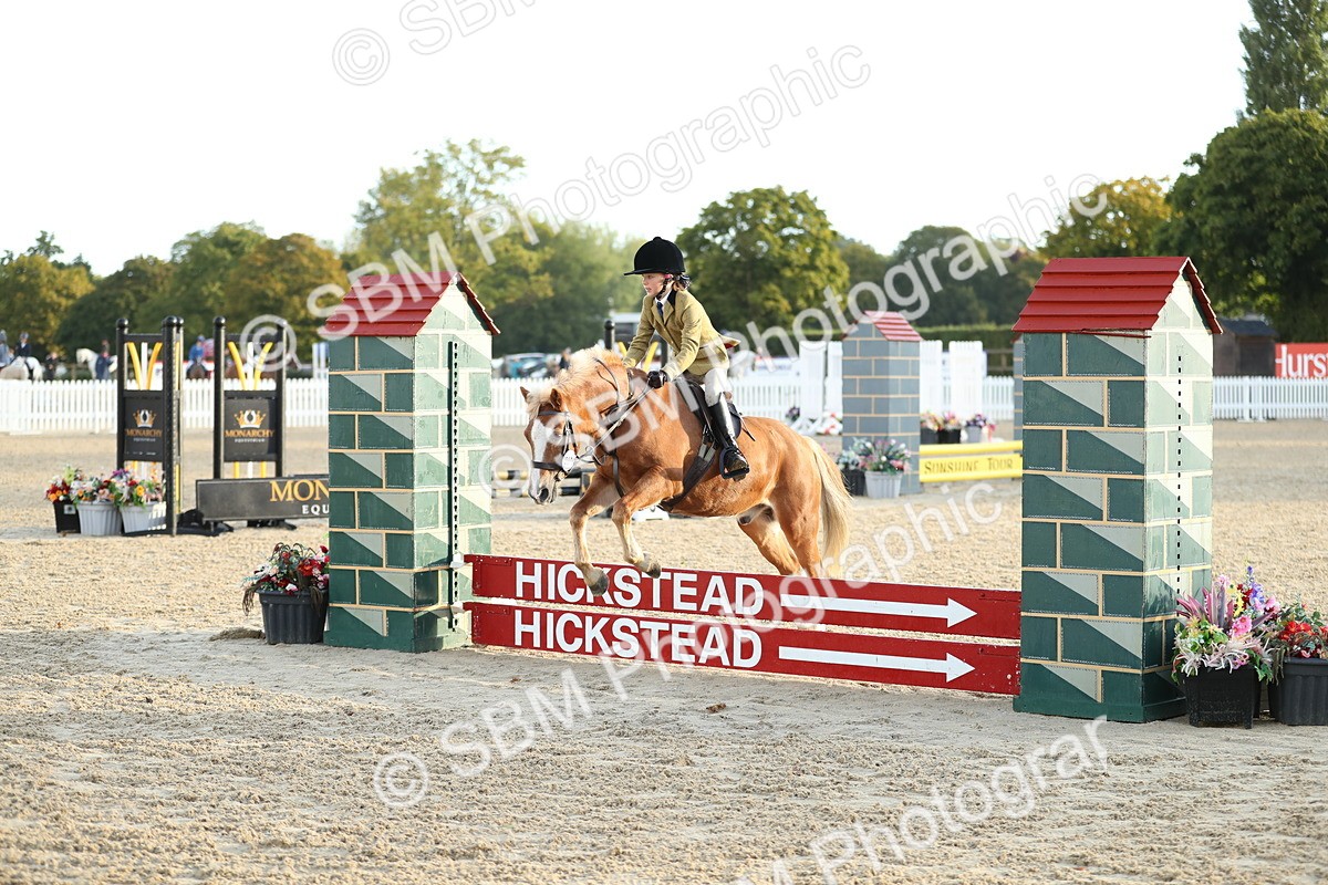 SBM_34139 - J60 Clear Round 50cm