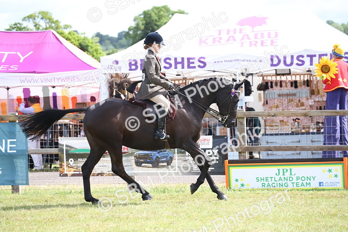 SBM_13208 - Class 95-96 - LIHS BSHA Rising Star Hack Riding Horse