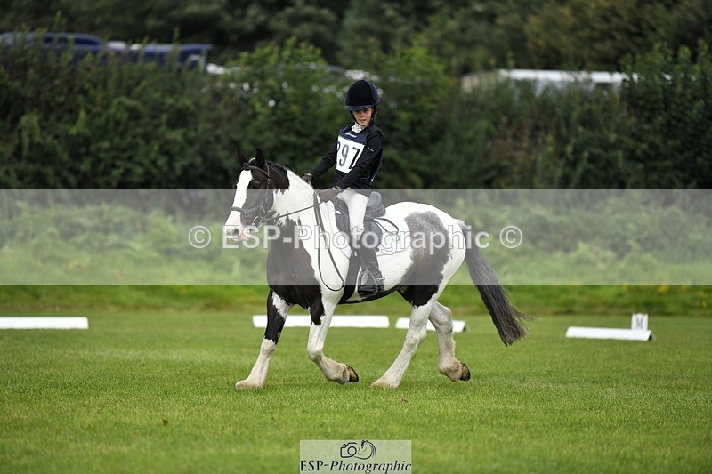 230826-112811-15870 - Sections C & D 10 to End