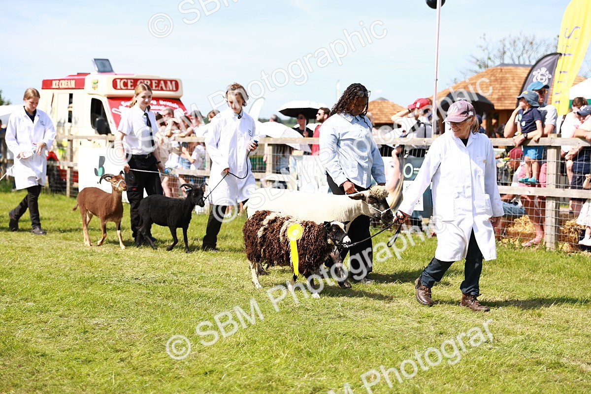 SBM_08306 - Grand Parade