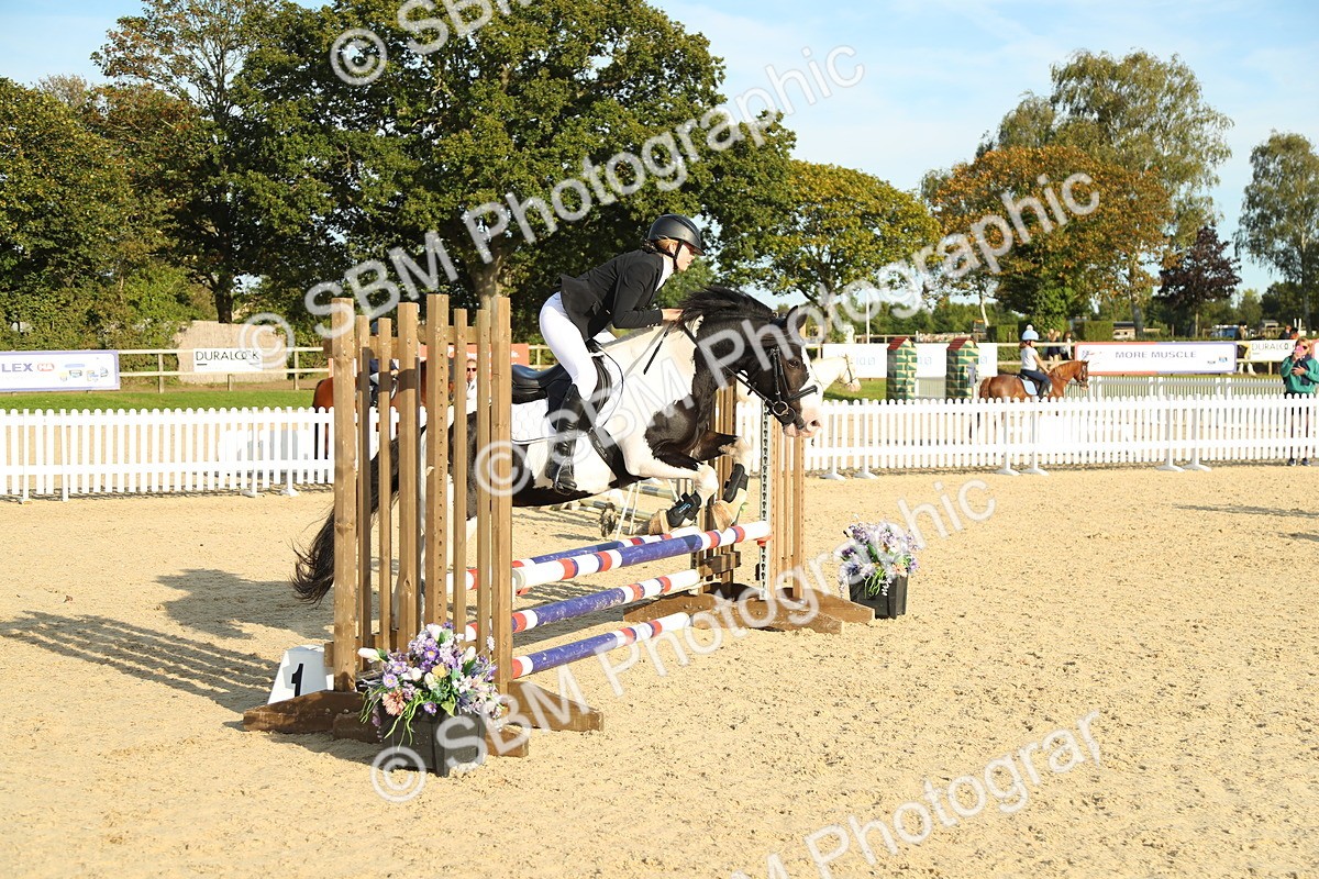 SBM_53600 - J8 - Junior Pony 65cm Championship
