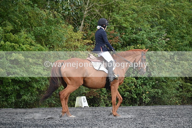 WJ7_7854 - Time 13:40 to 14:00