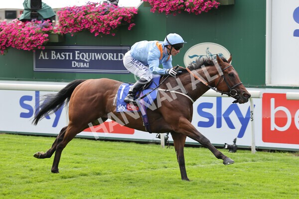 yr18082021r1-63 - Race 1 1.50pm Sky Bet & Symphony Group Stakes