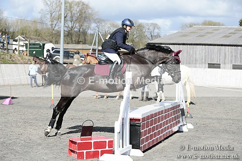 BVRC SJ 170319 317 - Bourne Valley Riding Club Showjumping 17/03/19
