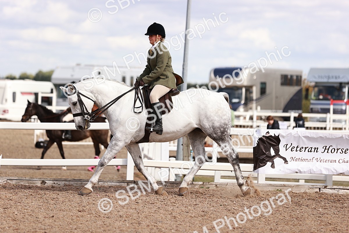 SBM_14454 - Class 410 - Grassroots Ridden - Horse