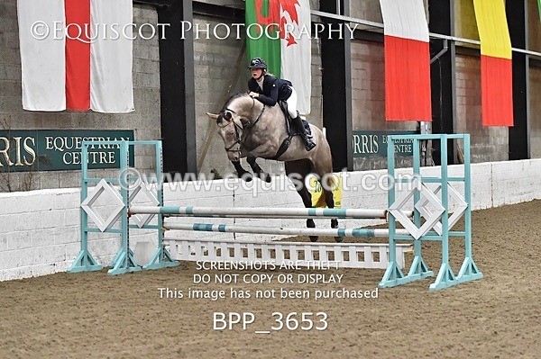 BPP_3653 - FRI CLASS 21 BR NOVICE/90CM