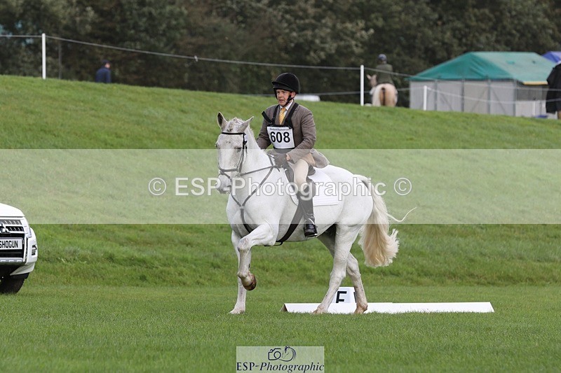 231019-105840-02511 - 608-SIR.HAROLD-William.Cursham-DR