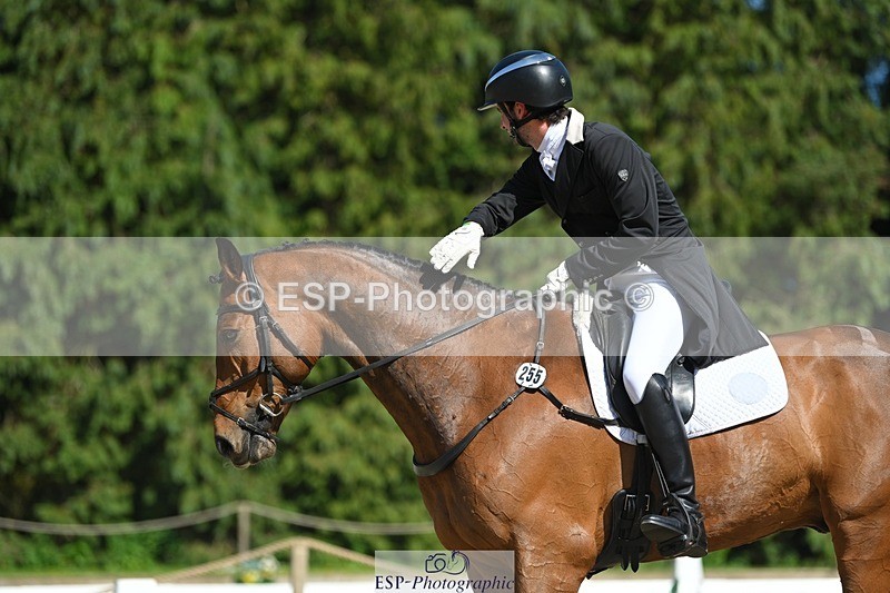 230526-161938-07339 - 255-HI_MR_HENRY-Henry_Hobby-WEDTrotUp+DR