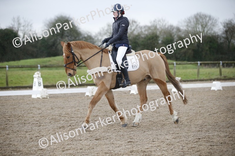 20260127-0403 - Class 17 - BD Novice 3