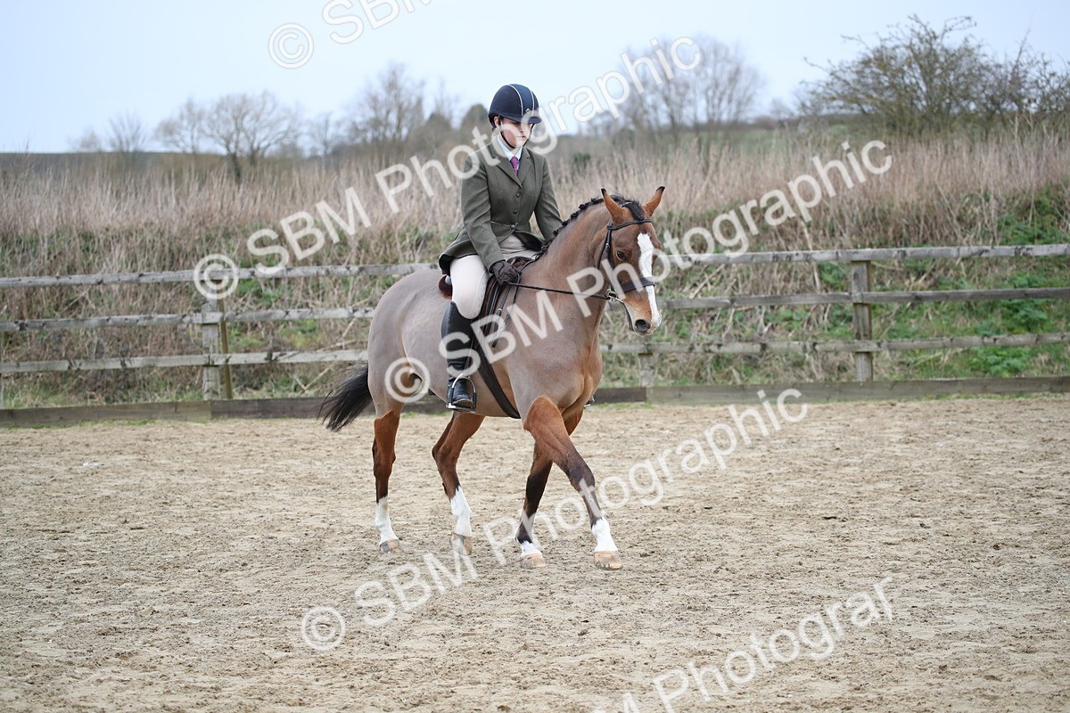 SBM_004744 - Class 5-9 - NPS In Hand-Show Hunter-Intermediate Ridden Inc Ridden Championship